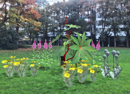 004b - ARpothecary s Garden